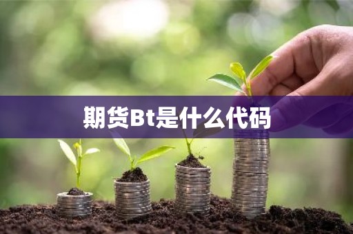 期货Bt是什么代码