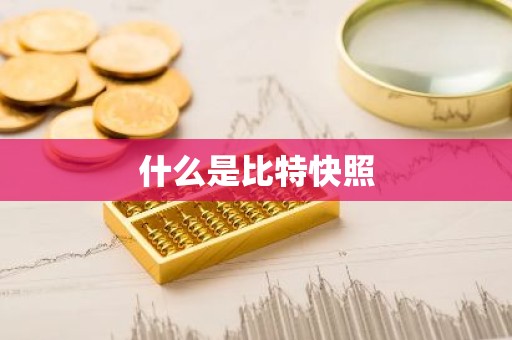 什么是比特快照