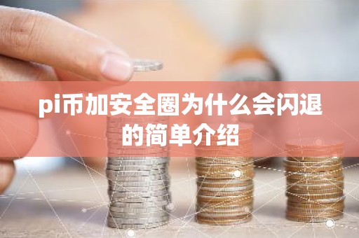 pi币加安全圈为什么会闪退的简单介绍