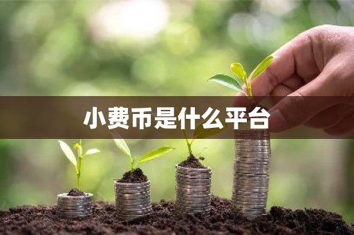 小费币是什么平台