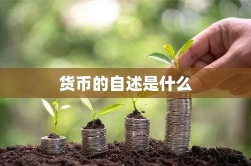 货币的自述是什么
