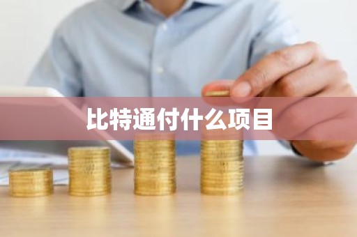 比特通付什么项目