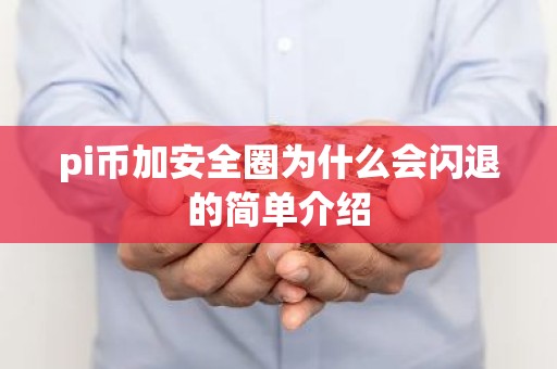pi币加安全圈为什么会闪退的简单介绍