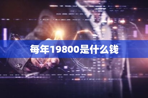 每年19800是什么钱