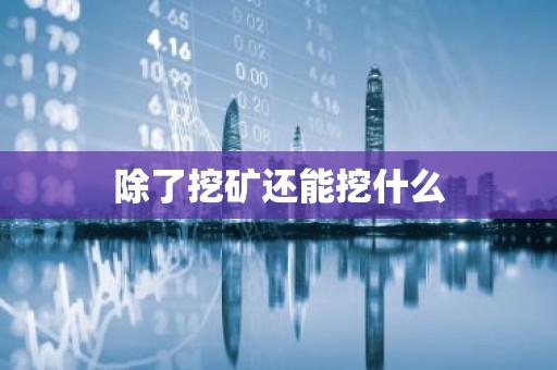 除了挖矿还能挖什么