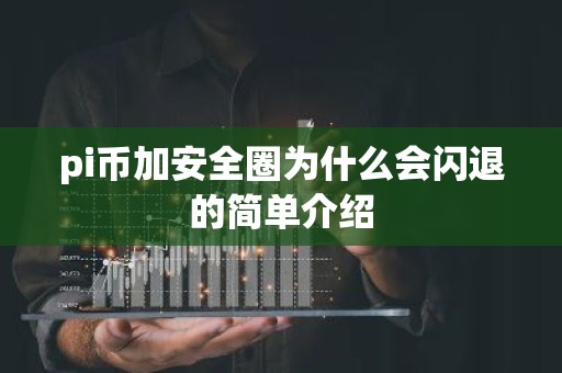 pi币加安全圈为什么会闪退的简单介绍