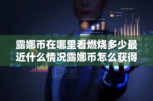 露娜币在哪里看燃烧多少最近什么情况露娜币怎么获得简介