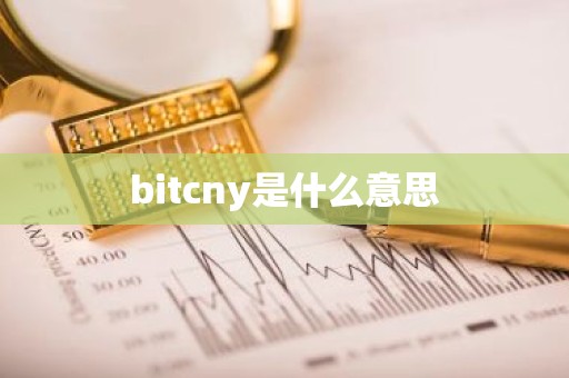 bitcny是什么意思