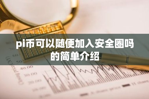 pi币可以随便加入安全圈吗的简单介绍