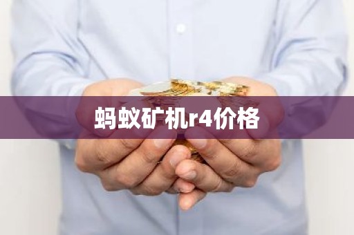 蚂蚁矿机r4价格