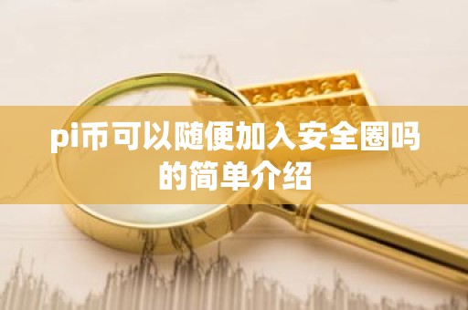 pi币可以随便加入安全圈吗的简单介绍