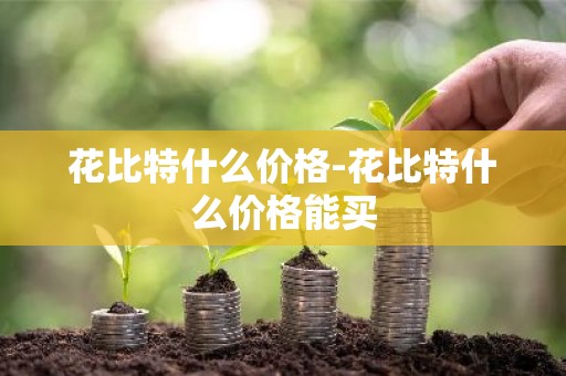 花比特什么价格-花比特什么价格能买