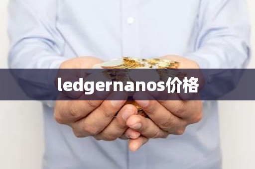 ledgernanos价格