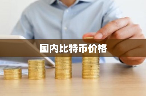 国内比特币价格