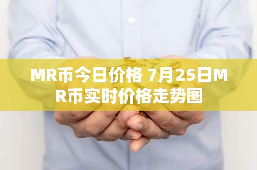 MR币今日价格 7月25日MR币实时价格走势图
