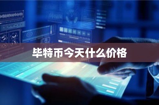 毕特币今天什么价格