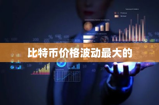 比特币价格波动最大的