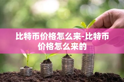 比特币价格怎么来-比特币价格怎么来的