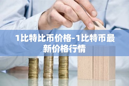 1比特比币价格-1比特币最新价格行情