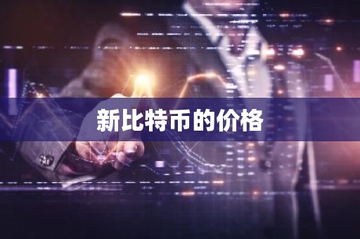 新比特币的价格
