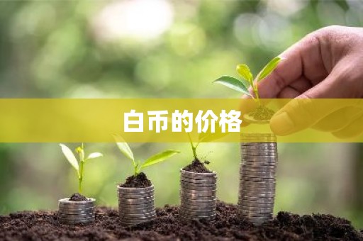 白币的价格