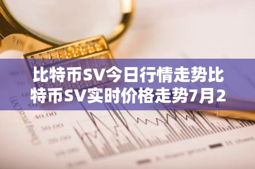 比特币SV今日行情走势比特币SV实时价格走势7月25日比特币SV最新价格