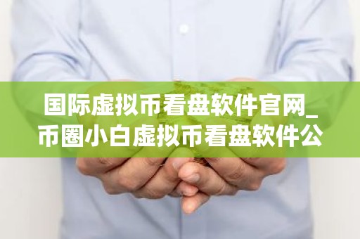 国际虚拟币看盘软件官网_币圈小白虚拟币看盘软件公布