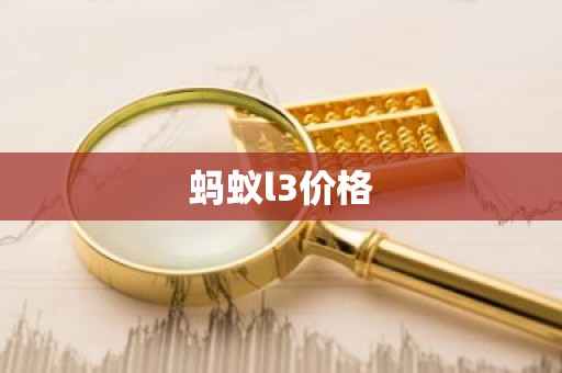 蚂蚁l3价格