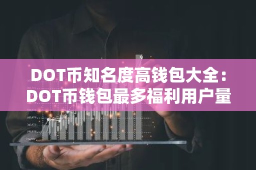 DOT币知名度高钱包大全：DOT币钱包最多福利用户量排名