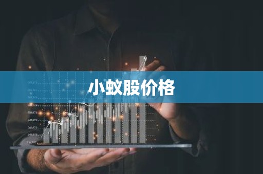 小蚁股价格