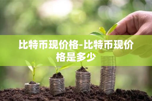 比特币现价格-比特币现价格是多少
