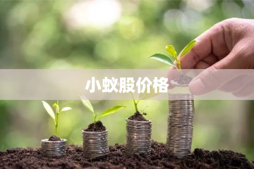 小蚁股价格