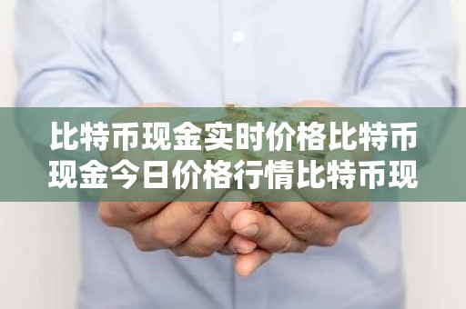 比特币现金实时价格比特币现金今日价格行情比特币现金最新消息