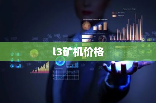 l3矿机价格