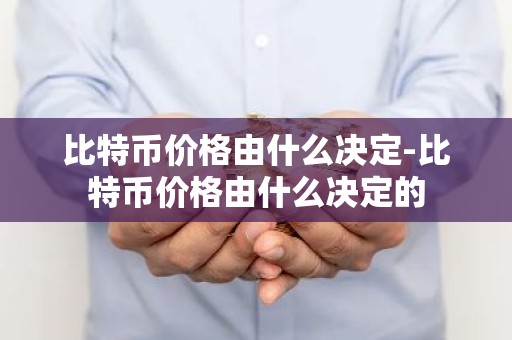 比特币价格由什么决定-比特币价格由什么决定的
