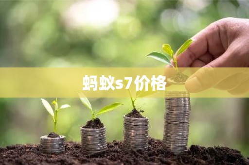 蚂蚁s7价格