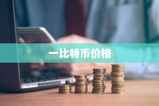 一比特币价格