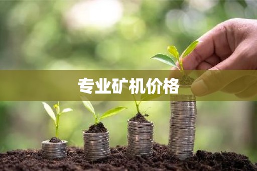 专业矿机价格