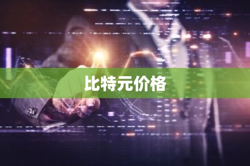 比特元价格