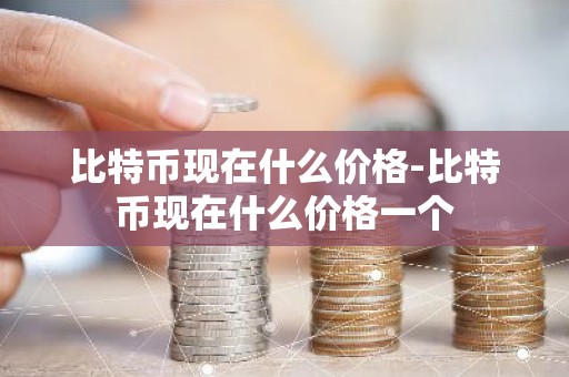 比特币现在什么价格-比特币现在什么价格一个