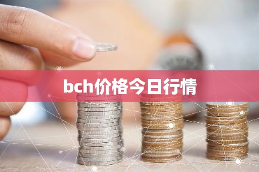 bch价格今日行情