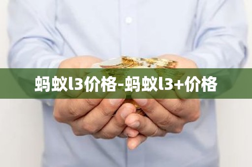 蚂蚁l3价格-蚂蚁l3+价格