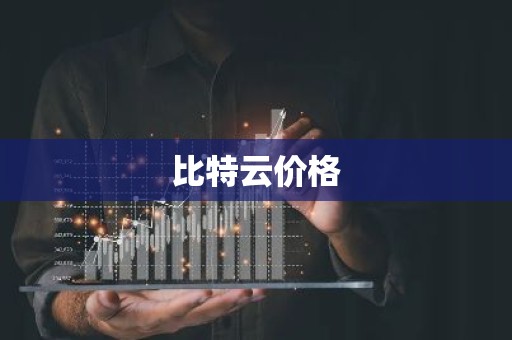 比特云价格