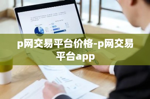 p网交易平台价格-p网交易平台app