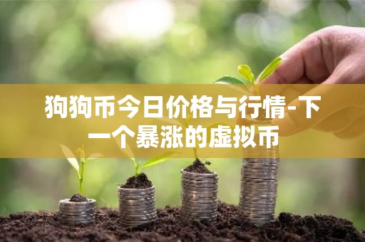 狗狗币今日价格与行情-下一个暴涨的虚拟币