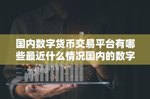 国内数字货币交易平台有哪些最近什么情况国内的数字货币交易平台有哪些简介