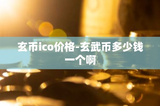 玄币ico价格-玄武币多少钱一个啊