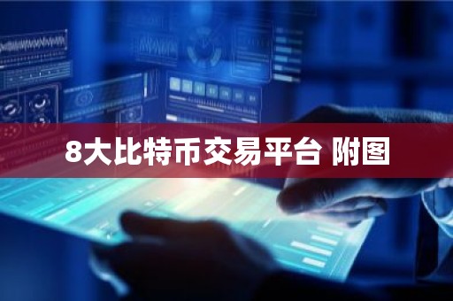8大比特币交易平台 附图