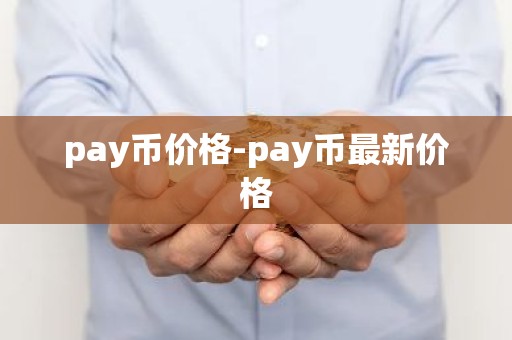 pay币价格-pay币最新价格