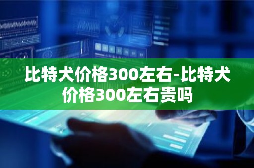 比特犬价格300左右-比特犬价格300左右贵吗